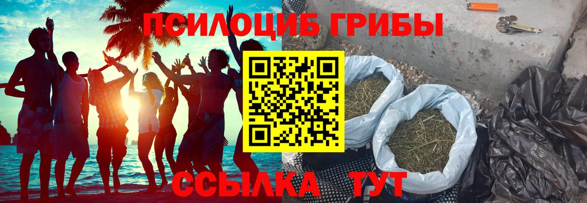 Псилоцибиновые грибы GOLDEN TEACHER Гулькевичи